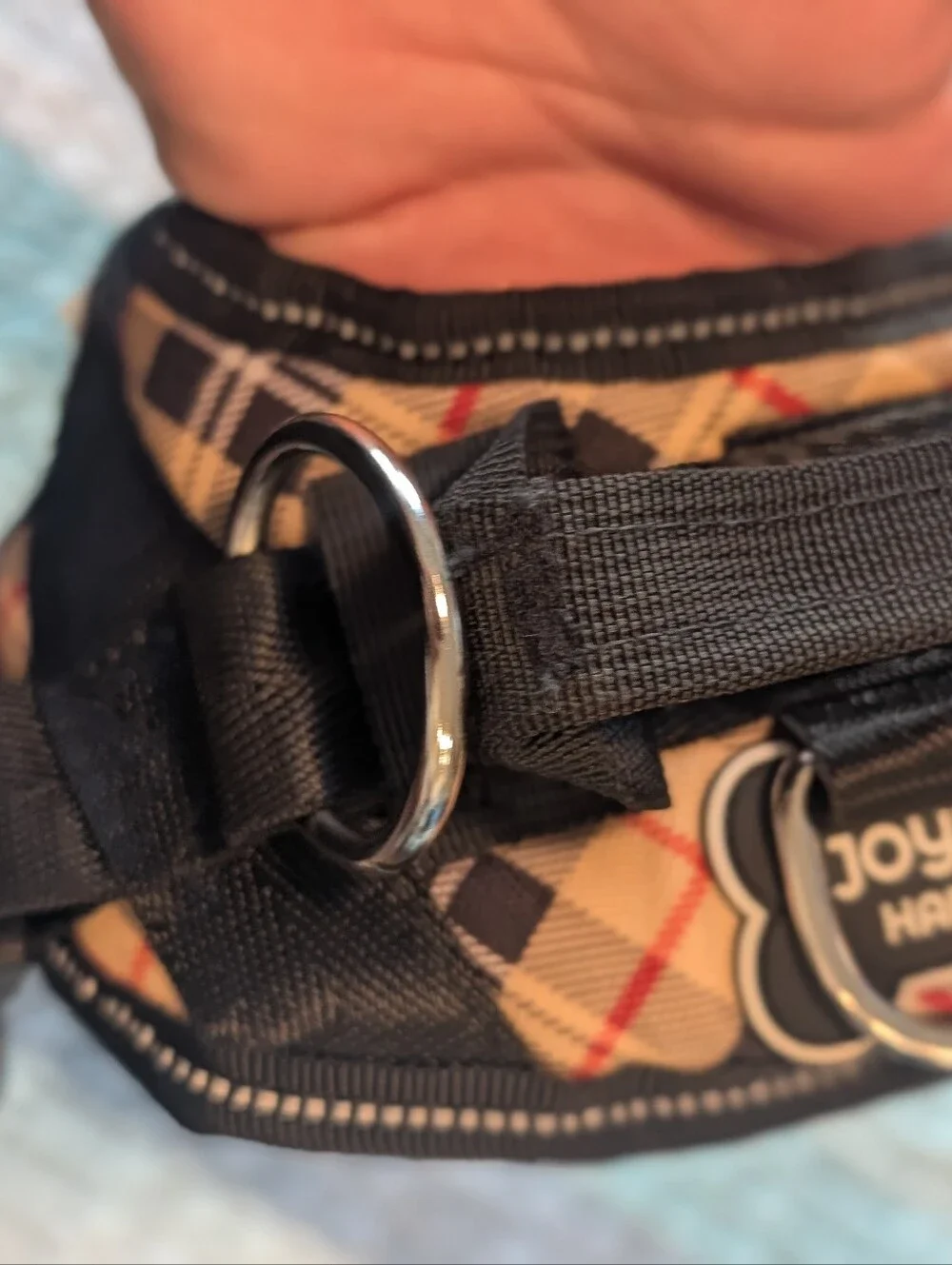 No Pull Dog Harness with Plaid Accent - Black size XS